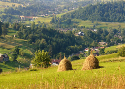 Українські Карпати Пам’ятка для інвестора 2024