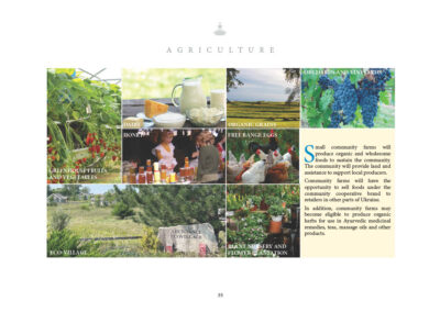 Small community farms will produce organic and wholesome foods to sustain the community. The community will provide land and assistance to support local producers. Community farms will have the opportunity to sell foods under the community cooperative brand to retailers in other parts of Ukraine and even export. In addition, community farms may become eligible to produce organic herbs for use in Ayurvedic medicinal remedies, teas, massage oils and other products. • Dairy • Organic Grains • Orchards and Vineyards • Honey • Free Range Eggs • Greenhouse Fruits and Vegetables • Eco-Village • Plant Nursery