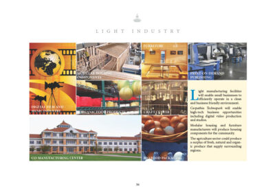 Light manufacturing facilities will enable small businesses to efficiently operate in a clean and business friendly environment. Carpathia Technopark will enable high-tech business opportunities including digital video production and studios. Modular housing and furniture manufacturers will produce housing components for the community. The agriculture sector could produce a surplus of fresh, natural and organic produce that could supply surrounding regions. • Digital Film and Music Industry • Modular Housing Components • Furniture • Print-on-Demand Publishing • Organic Food Products • Craft Center • Co-Manufacturing Center • Bio-Food Packaging