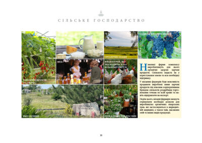 Невеликі ферми комплексу вироблятимуть для нього органічні здорові харчові продукти. Спільнота надасть їм у користування землю та всю необхідну підтримку. У місцевих фермерів буде можливість продавати вироблені ними харчові продукти під власним корпоративним брендом спільноти роздрібним торговельним точкам по всій країні та навіть відправляти на експорт. Окрім цього, місцеві фермери зможуть отримувати необхідні дозволи для виробництва органічних лікарських трав, які застосовуються в аюрведичній медицині, а також чаїв, масажних олій та інших видів продукції. • Молочні продукти • Органічні злаки • Сади та виноградники • Мед • Яйця курей, що знаходяться на вільному вигулі • Тепличні фрукти та овочі • Еко-селище • Розсадник для рослин