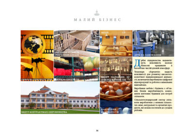 Дрібні підприємства надаватимуть можливість малому бізнесові працювати в екологічно чистій діловій атмосфері. Технопарк «Карпатія» надасть можливості для розвитку високотехнологічної підприємницької діяльності, включаючи виробництво цифрової відеопродукції та роботи в знімальних павільйонах. Виробники меблів і будівель з об’ємних блоків вироблятимуть компоненти житлових будинків для потреб спільноти. Сільськогосподарський сектор спільноти вироблятиме у великих кількостях свіжі, натуральні та органічні продукти, які можна постачати до сусідніх реґіонів. • Цифрова кіноіндустрія • Зведення будівель з об’ємних блоків • Меблі • Друк на замовлення • Харчові продукти • Центр народних художніх промислів • Центр контрактного виробництва • Пакування біопродуктів